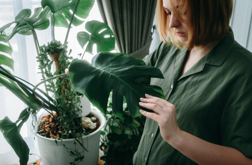 Plant documentation search challenges and information access